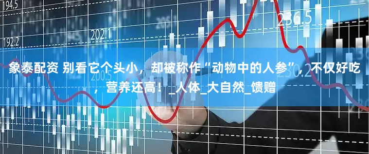 象泰配资 别看它个头小，却被称作“动物中的人参”，不仅好吃，营养还高！_人体_大自然_馈赠