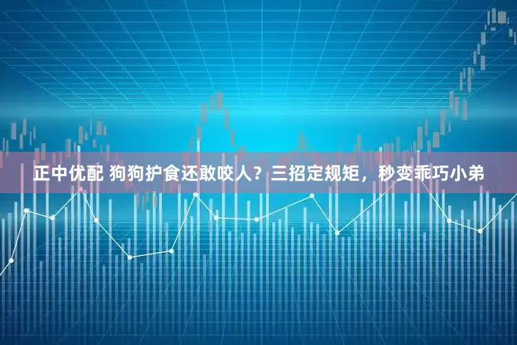 正中优配 狗狗护食还敢咬人？三招定规矩，秒变乖巧小弟