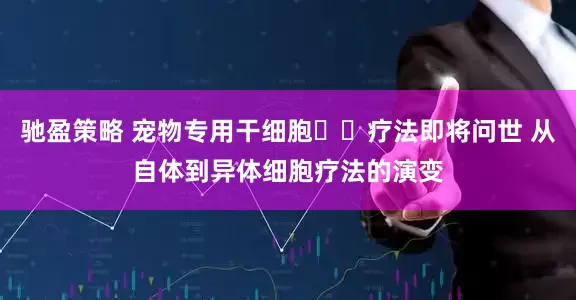驰盈策略 宠物专用干细胞​​疗法即将问世 从自体到异体细胞疗法的演变