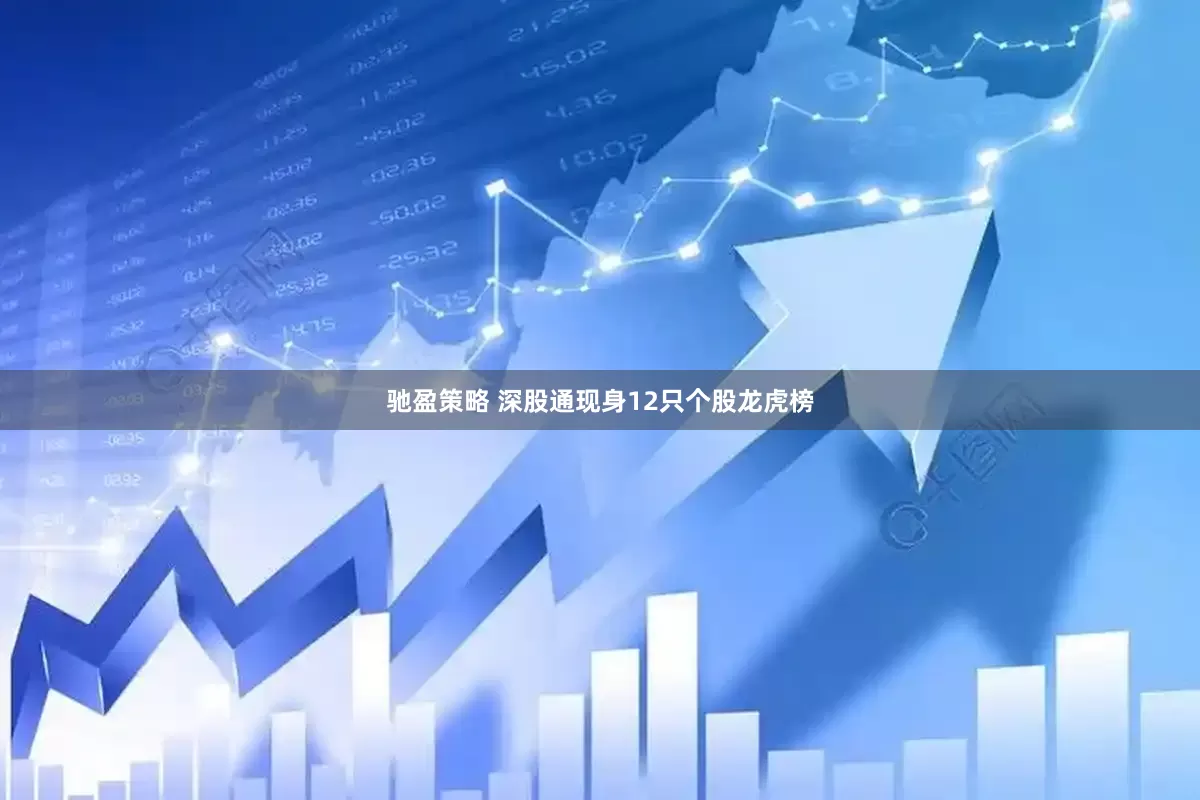 驰盈策略 深股通现身12只个股龙虎榜