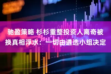 驰盈策略 杉杉重整投资人离奇被换真相浮水：一切由遴选小组决定